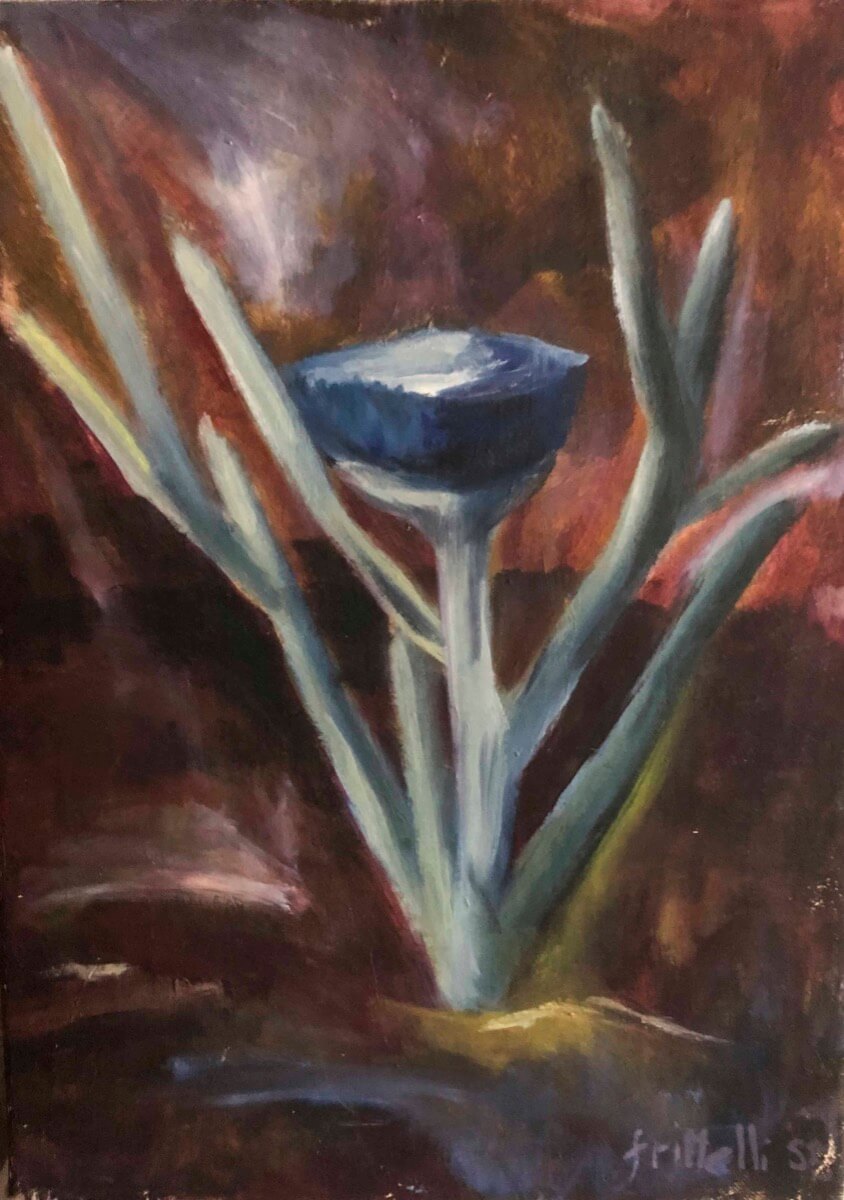 Fiore di cardo