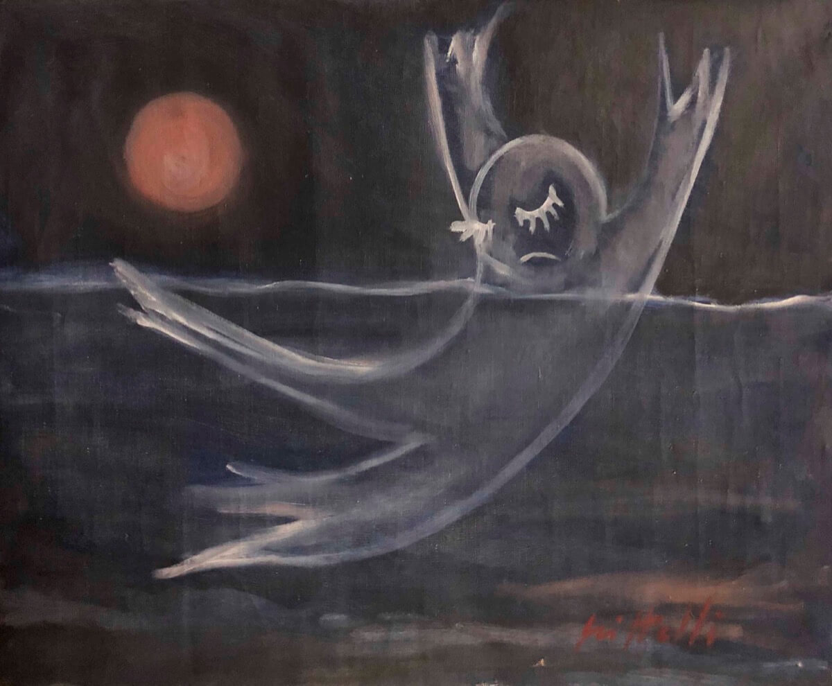 Medusa di notte